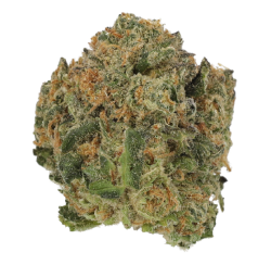 Cannamedical Hybrid classic NM Critical Bilbo